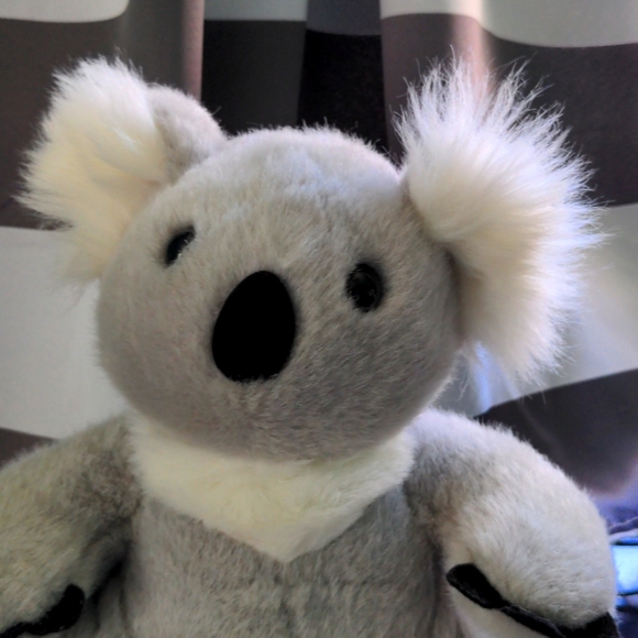 Build-A-Bear Workshop Koala Plush - Picture 2 of 3